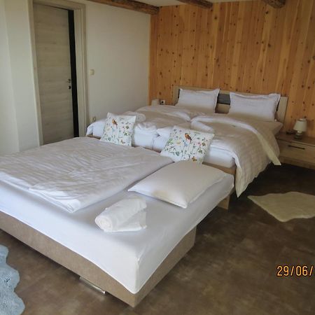 Studio 1111 With Sauna & Hot Tub Dravograd Екстериор снимка