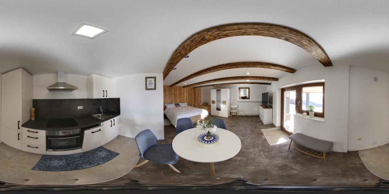 Studio 1111 With Sauna & Hot Tub Dravograd Екстериор снимка