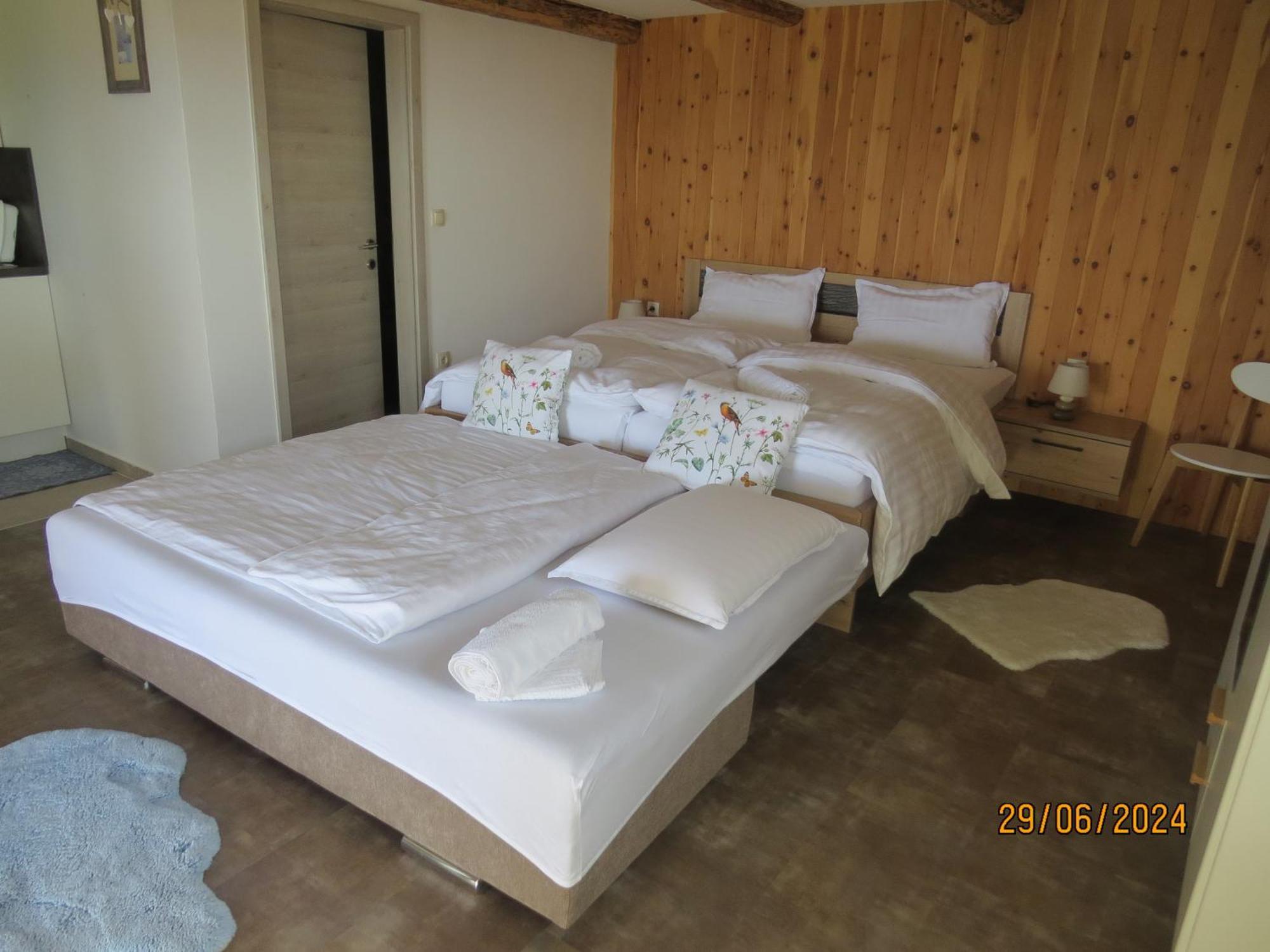 Studio 1111 With Sauna & Hot Tub Dravograd Екстериор снимка